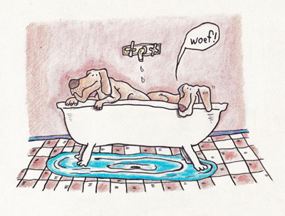superfart Honden